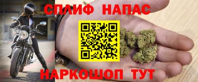 гидра Брянск