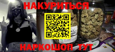 гидра Брянск