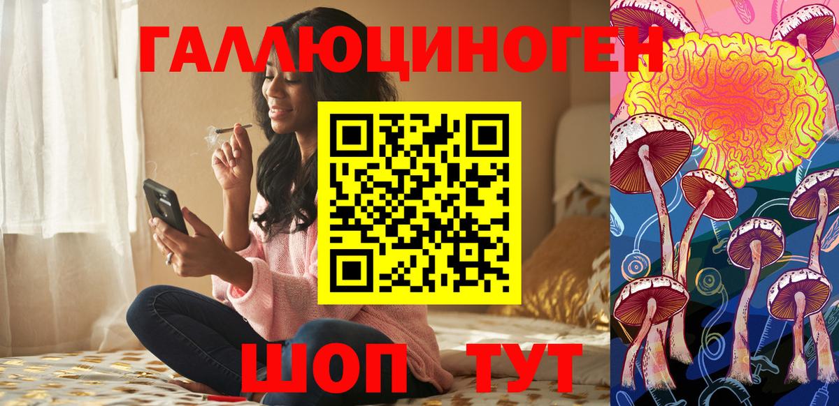 Галлюциногенные грибы Psilocybe Алатырь