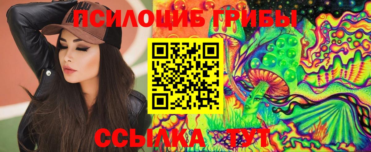 наркота  Псилоцибиновые грибы прущие грибы  Вход с VPN  Псилоцибиновые грибы Magic Shrooms  Алатырь 