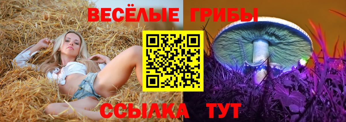 Псилоцибиновые грибы прущие грибы Алатырь
