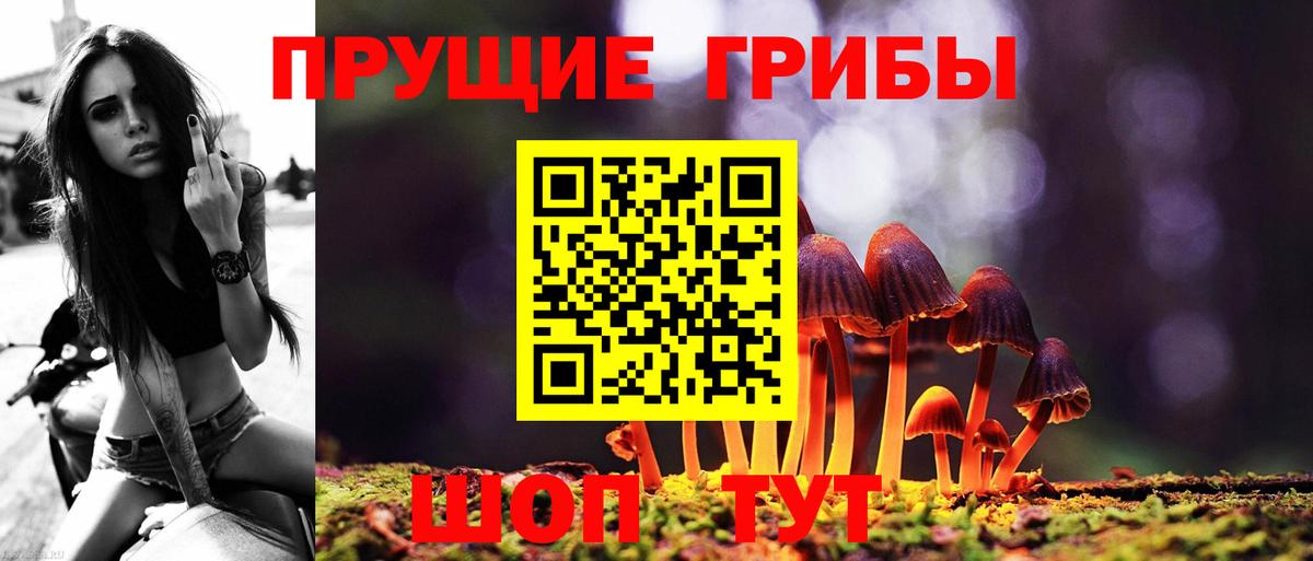 ТГК  Вход с VPN  ГАШИШ  Алатырь  Где купить наркотики?  МЕФ кристаллы  COCAIN 